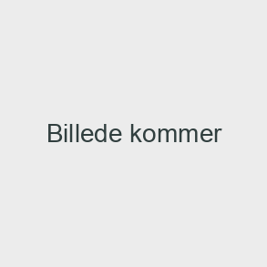 Fryset&oslash;rrede godbidder