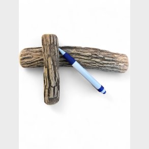 Sicklebush tyggestick small