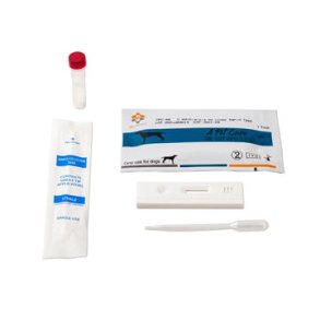 Giardia Antigen Rapid Test st